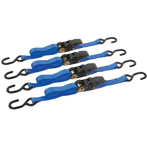 SILVERLINE SANGLES D'ARRIMAGE A CLIQUET 735 KG 4 METRES 1 SILVERLINE SANGLES D'ARRIMAGE A CLIQUET 735 KG 4 METRES