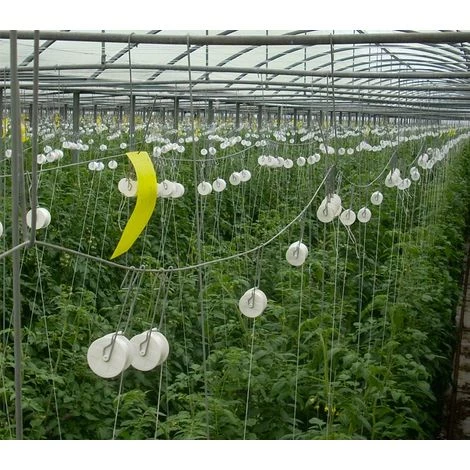 DIRECT FILET Lot De 50 Crochets Roller (25m) 2 DIRECT FILET Lot De 50 Crochets Roller (25m) – Image 2