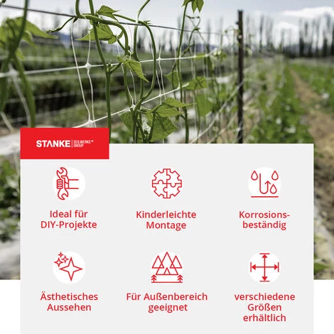 Seilwerk STANKE 5x Serre-Câble Ovale Zingué Taille 2 Connecteur Galvanisé Pour Câble D’Acier 2 Mm Aluminium Silumin 3 Seilwerk STANKE 5x Serre-Câble Ovale Zingué Taille 2 Connecteur Galvanisé Pour Câble D’Acier 2 Mm Aluminium Silumin – Image 3