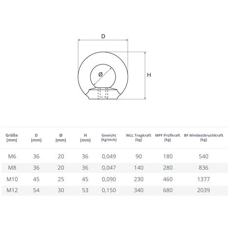 Seilwerk STANKE 5x Écrou ? ?il Femelle Galvanisé M8 Anneau De Levage 8 Mm 5 Seilwerk STANKE 5x Écrou ? ?il Femelle Galvanisé M8 Anneau De Levage 8 Mm – Image 5