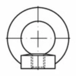 TOOLCRAFT 1061346 Écrou à Anneau M8 DIN 582 Acier Inoxydable A2 1 Pc(s)
