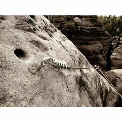 LYCXAMES Boulons à Expansion M6 X 50mm Manchon En Acier Boulon à œil 304 Inoxydable Expansion Du Béton Ancrage Vis à Oeil Chevilles Boulons 5-Pack 8 LYCXAMES Boulons à Expansion M6 X 50mm Manchon En Acier Boulon à œil 304 Inoxydable Expansion Du Béton Ancrage Vis à Oeil Chevilles Boulons 5-Pack -Treuil, cric, palan et accessoires Soldes Boutique 64083502 4