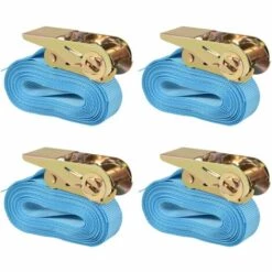 Sangle D’Arrimage à Cliquet Bleu 0,8 Tonne 6 Mx25 Mm 4 Pcs VidaXL
